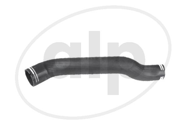 Charge Air Hose (ALP-004408)