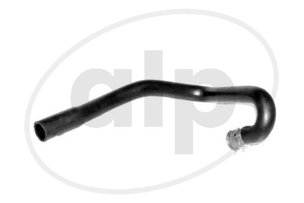 Radiator Hose (ALP-003898)