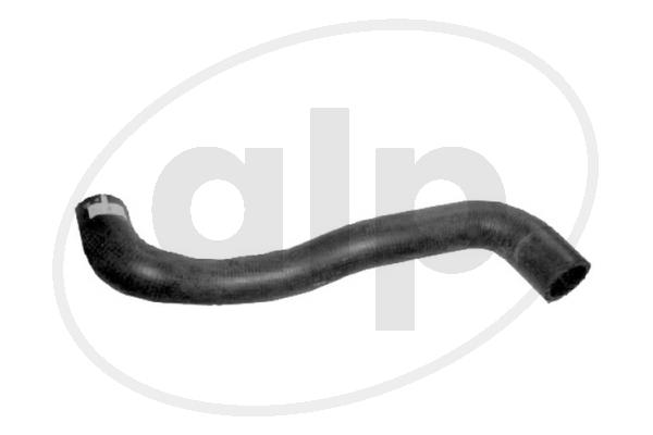 Radiator Hose (ALP-004186)