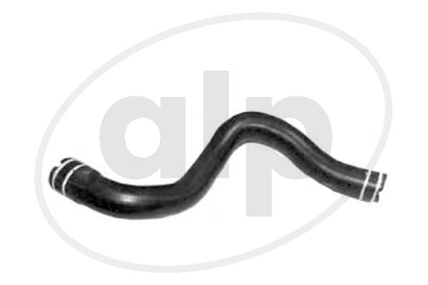 Radiator Hose (ALP-005662)