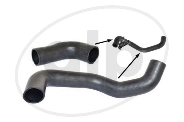 Charge Air Hose (ALP-007178)