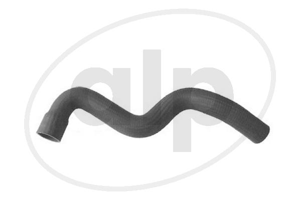 Charge Air Hose (ALP-004354)
