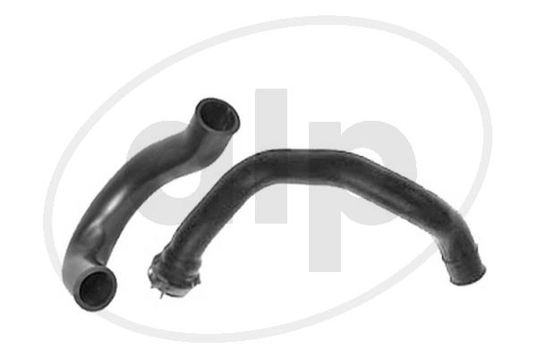 Hose, cylinder head cover ventilation (ALP-004265)