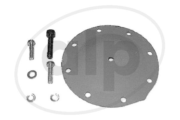 Repair Set, vacuum pump (braking system) (ALP-000334)