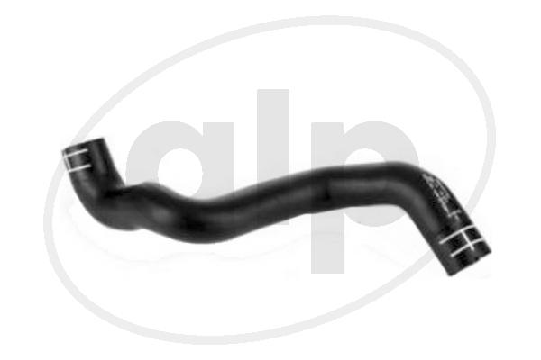Radiator Hose (ALP-007819)