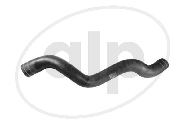 Radiator Hose (ALP-005591)