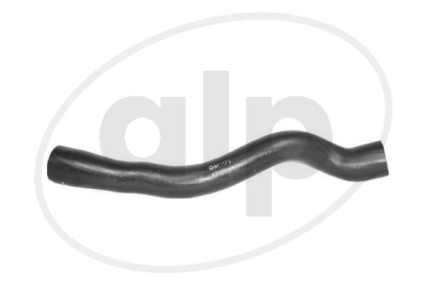 Charge Air Hose (ALP-007544)