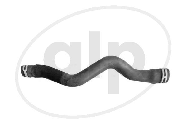 Radiator Hose (ALP-005615)