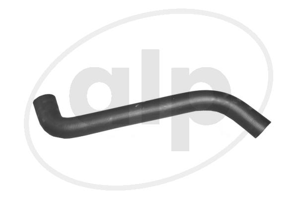 Radiator Hose (ALP-003786)