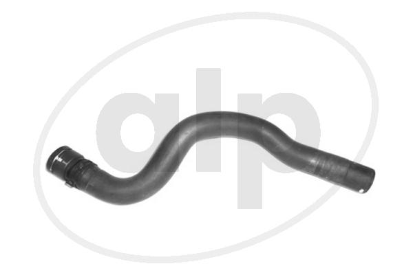 Radiator Hose (ALP-007593)