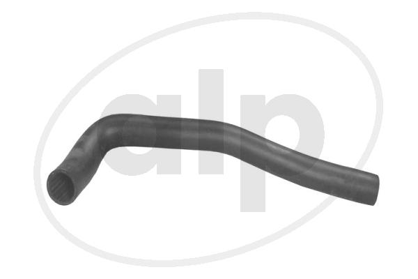 Radiator Hose (ALP-003524)