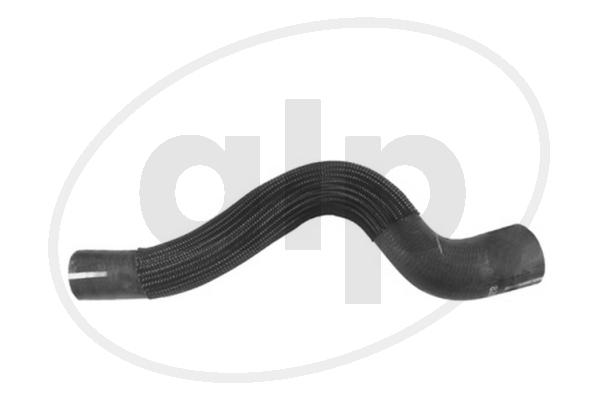 Radiator Hose (ALP-005592)