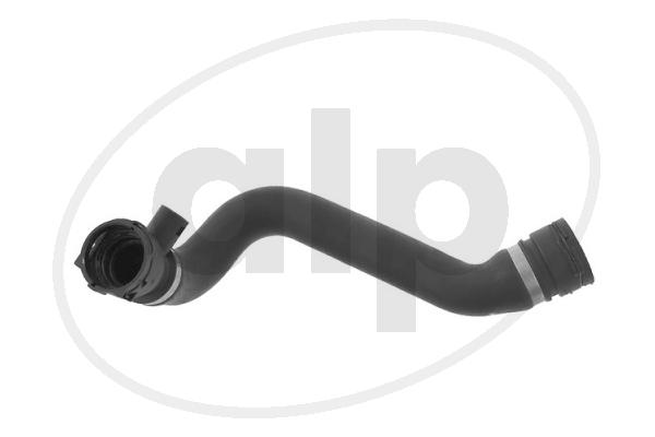 Radiator Hose (ALP-004453)