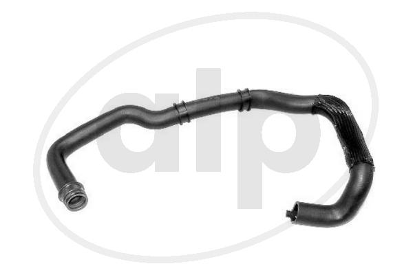 Radiator Hose (ALP-003792)