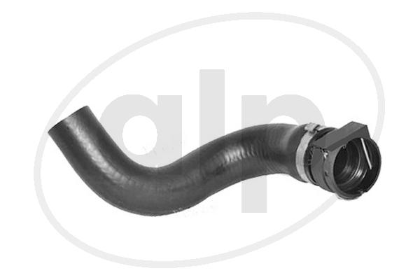 Radiator Hose (ALP-004357)