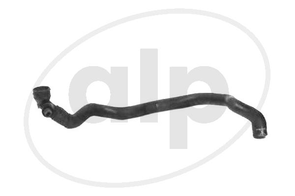 Radiator Hose (ALP-004484)