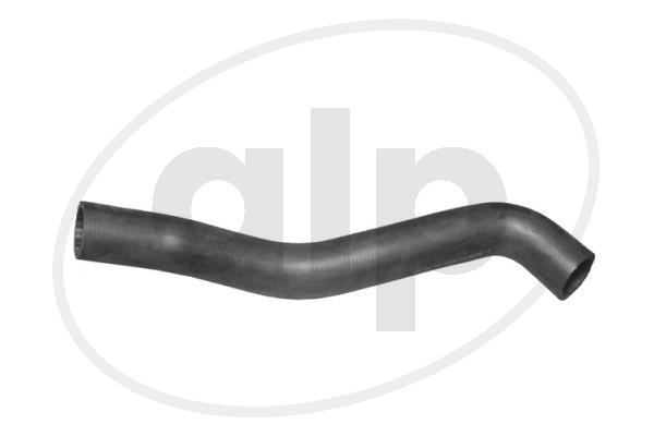 Radiator Hose (ALP-002494)