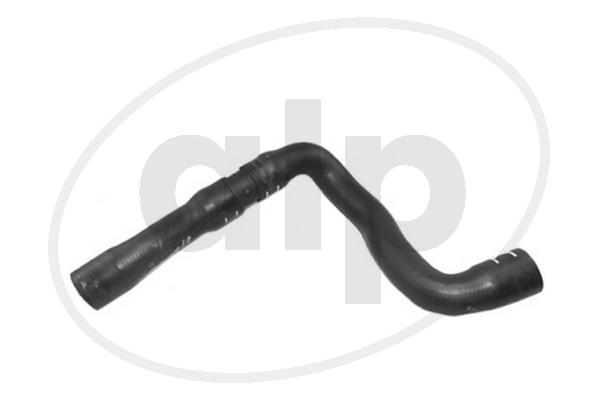Radiator Hose (ALP-007206)