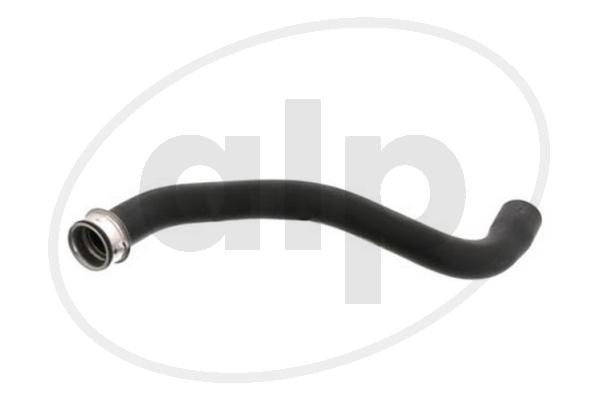 Radiator Hose (ALP-007317)