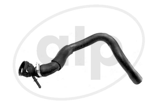 Radiator Hose (ALP-004482)