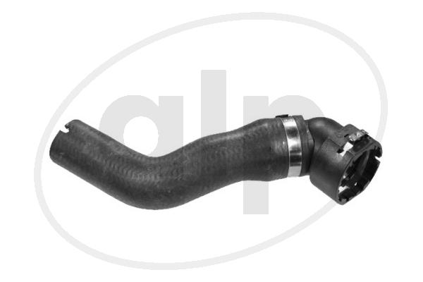 Radiator Hose (ALP-004365)