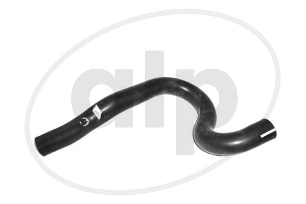 Radiator Hose (ALP-006656)