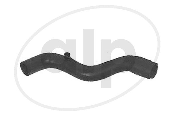 Radiator Hose (ALP-003555)