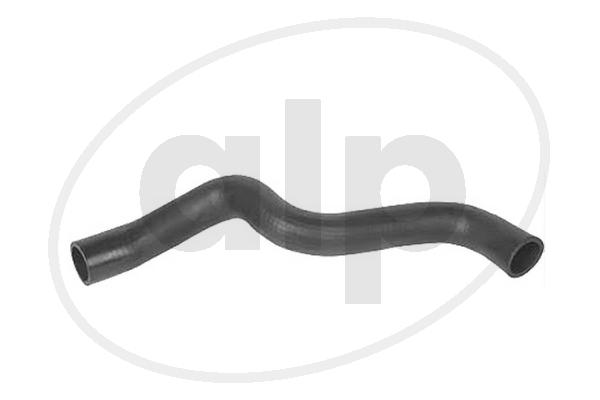 Radiator Hose (ALP-004419)
