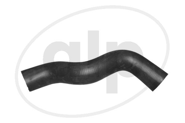 Radiator Hose (ALP-003574)