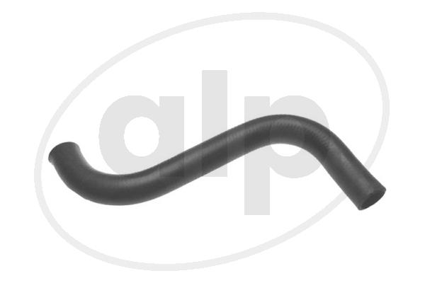 Radiator Hose (ALP-003533)