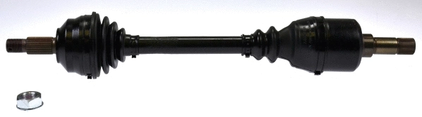 Drive Shaft (303679)