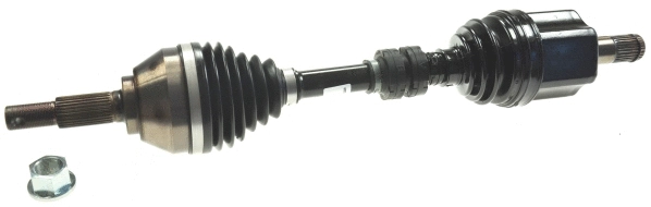 Drive Shaft (305853)