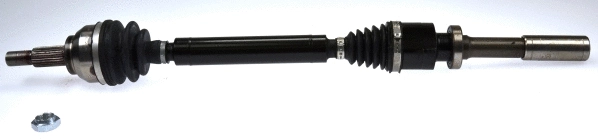 Drive Shaft (303631)