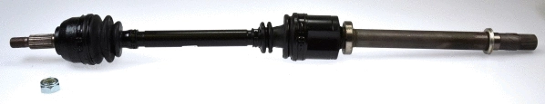 Drive Shaft (304687)