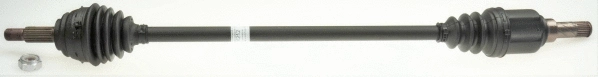 Drive Shaft (306391)
