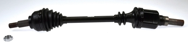 Drive Shaft (304851)