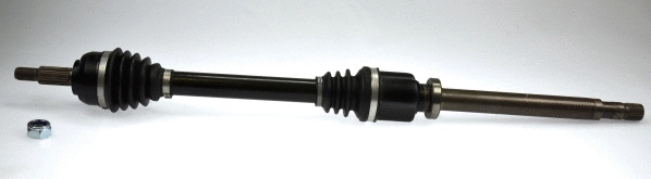 Drive Shaft (304778)
