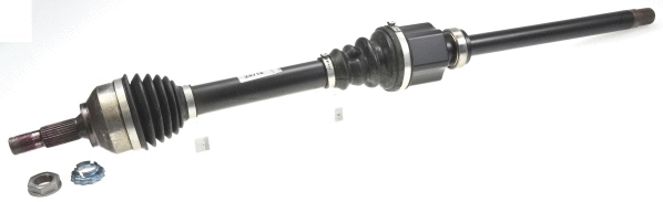 Drive Shaft (304990)