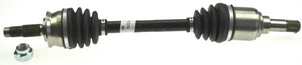 Drive Shaft (304374)
