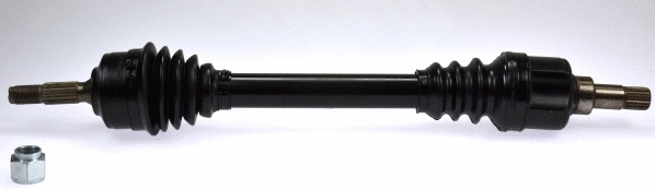 Drive Shaft (304793)