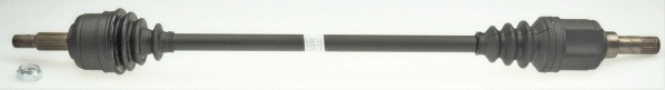 Drive Shaft (306389)