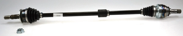 Drive Shaft (305789)