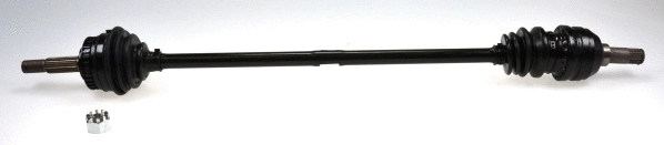 Drive Shaft (304399)