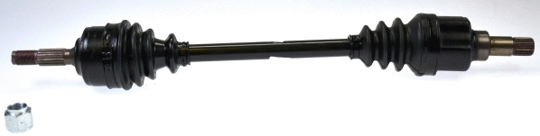 Drive Shaft (304572)