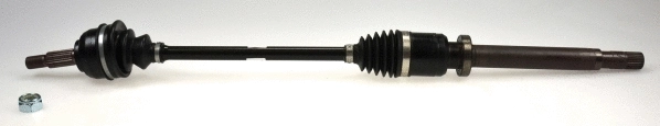 Drive Shaft (304724)