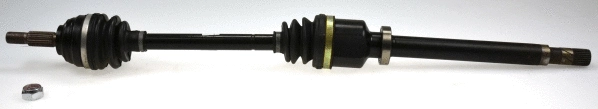 Drive Shaft (304341)
