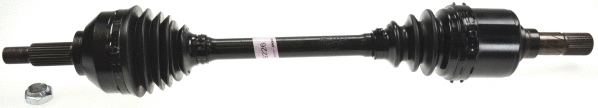 Drive Shaft (305449)