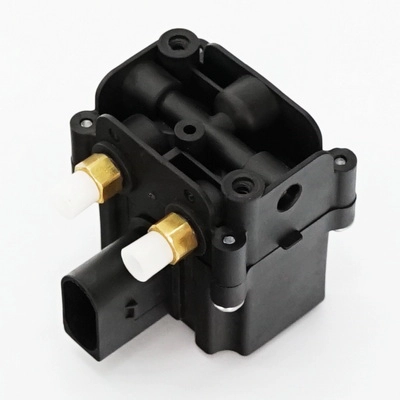 Valve, compressed-air system (Fb01)