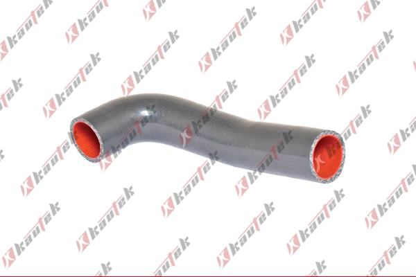 Charge Air Hose (HY-TH005)