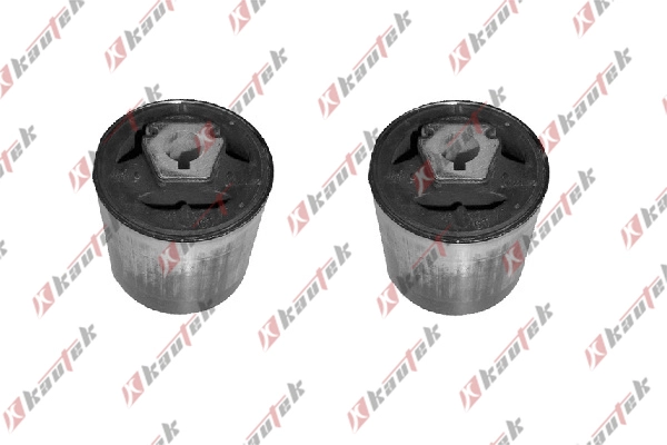 Mounting, control/trailing arm (BM-BS061ST)